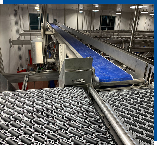 Case-Handling-Conveyors-1-1 <br />
Conveyance Process Improvement<br />